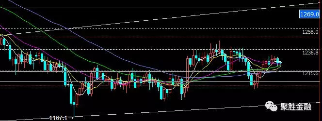 1.26黄金外汇原油日间操作建议提醒！"