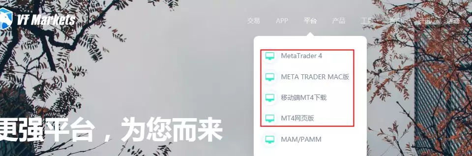 VT MARTKETS外汇怎么样？VT MARTKETS合法吗？