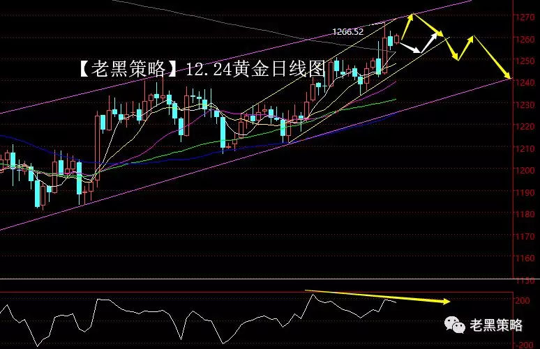 2.24外汇、黄金、原油操盘策略"