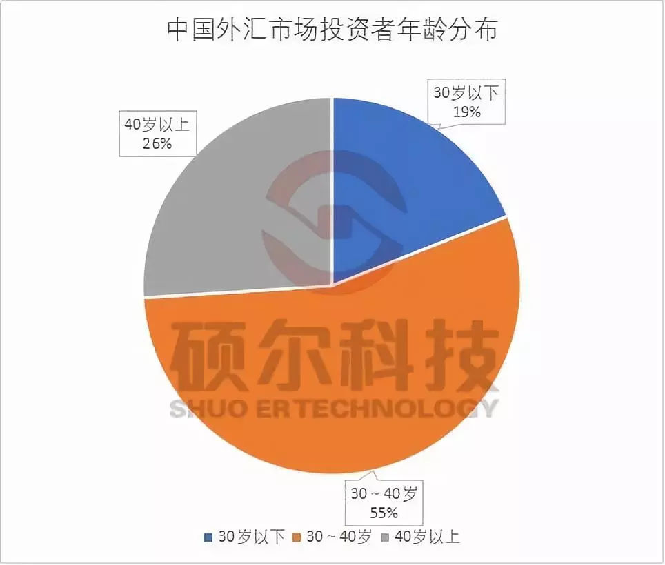 中国外汇市场现状研究分析报告（2018）