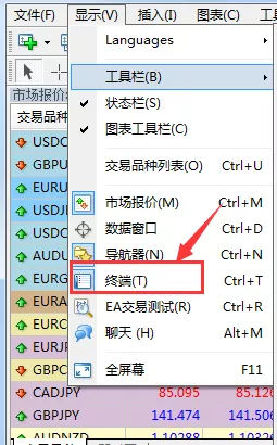 MT4上订单消失了该怎么处理，外汇软件订单消失了是怎么办