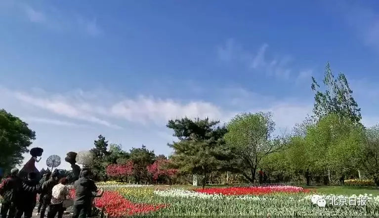 一带一路高峰论坛（视频直播地址）