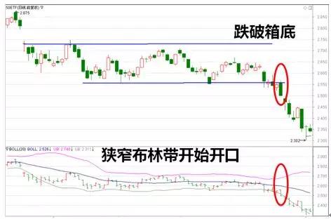 深度解析期权标50ETF