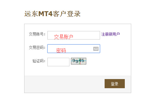 远东贵金属metatrader4怎么出金（提现）