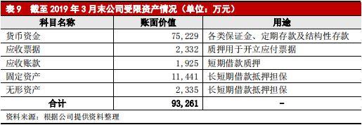 大族激光主体与相关债项 2019 年度跟踪评级报告