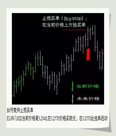 外汇新手入门基础知识大全详解