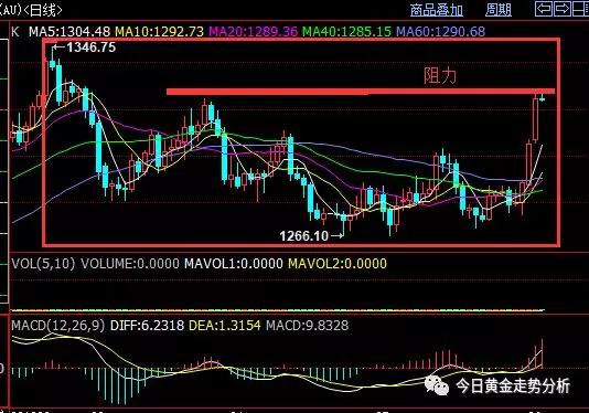 现货黄金多少钱一克