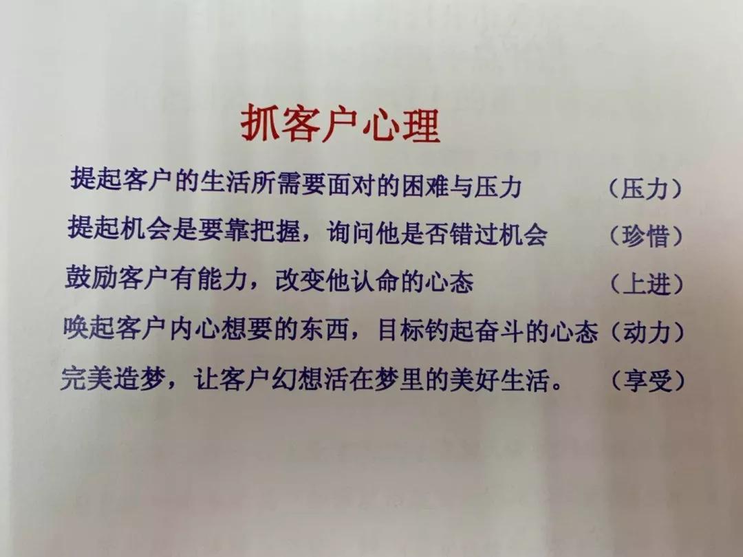 杀猪盘骗局|价值18万美金的杀猪盘话术揭秘