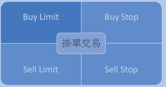 鼎展金业