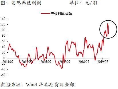 鸡蛋周跌幅近6%