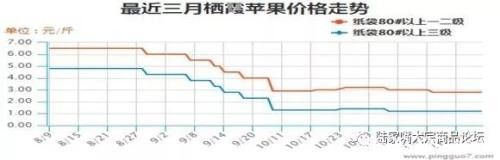 消费季节性旺季 苹果期货上涨概率较大