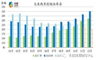 棕榈牛市开启 大跌不改棕榈油上涨趋势