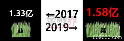 股民的2017-2019，太难了...