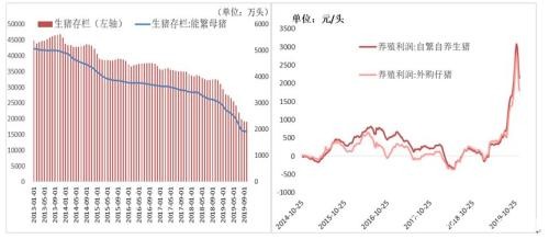 养殖端“抵触”情绪 鸡蛋市场再显威力