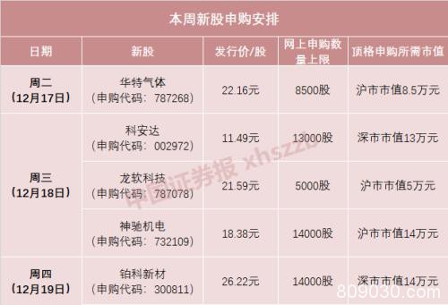 本周5只新股申购！打中这只新股 年终奖或许就有了