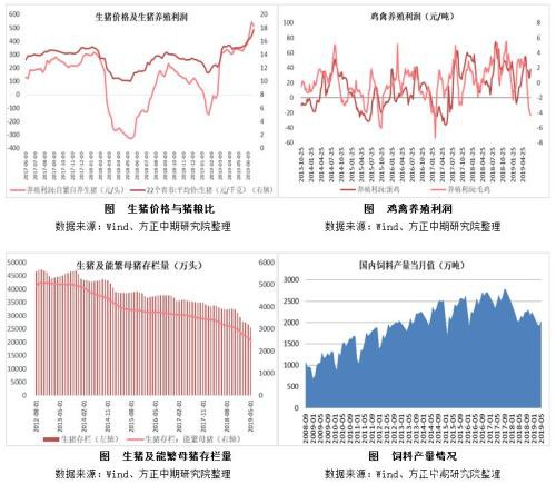 2019年菜粕市场回顾与2020年展望：先“粕”后立? 寻得新平衡