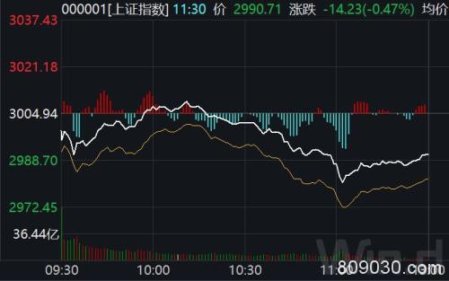 3000点又双拉锯！酒鬼酒跌停 科技股集体回调