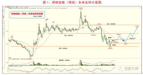 棉花寒冬短暂 明年回归16000元/吨可期