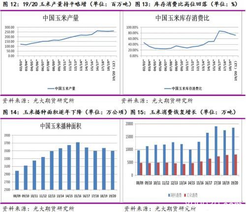 玉米、淀粉：展望新周期 迎接新起点