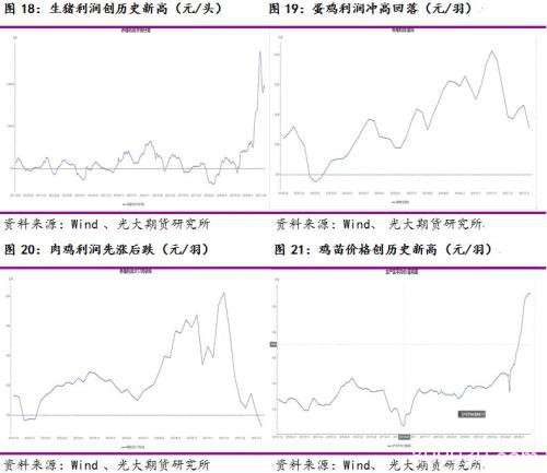 玉米、淀粉：展望新周期 迎接新起点