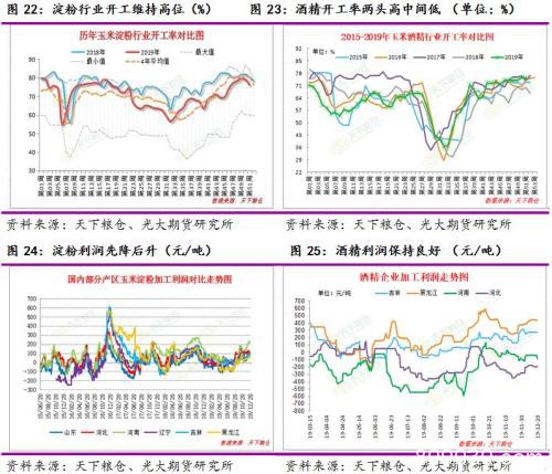 玉米、淀粉：展望新周期 迎接新起点