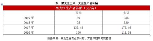 玉米、淀粉市场回顾与2020年展望：春风又绿玉米岸 明月何时照我还