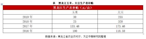 玉米、淀粉市场回顾与2020年展望：春风又绿玉米岸 明月何时照我还