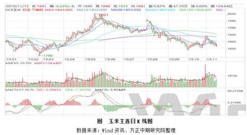 玉米、淀粉市场回顾与2020年展望：春风又绿玉米岸 明月何时照我还