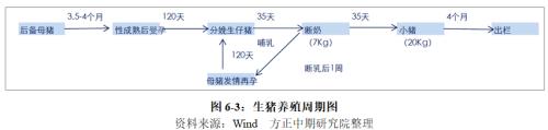 生猪2020年走势展望：“二师兄”站上风口 企业养殖效益仍看好