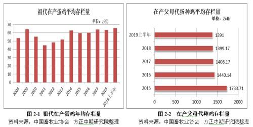 鸡蛋2020年走势展望：大供应VS缓需求 “火箭蛋”进入牛市尾声