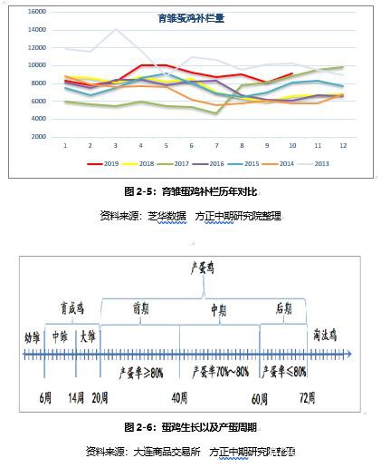 鸡蛋2020年走势展望：大供应VS缓需求 “火箭蛋”进入牛市尾声