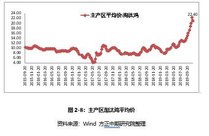 鸡蛋2020年走势展望：大供应VS缓需求 “火箭蛋”进入牛市尾声