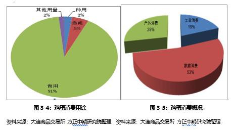 鸡蛋2020年走势展望：大供应VS缓需求 “火箭蛋”进入牛市尾声