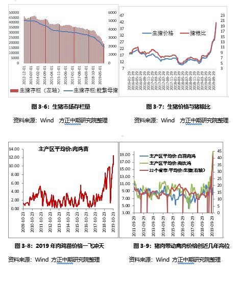 鸡蛋2020年走势展望：大供应VS缓需求 “火箭蛋”进入牛市尾声