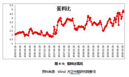 鸡蛋2020年走势展望：大供应VS缓需求 “火箭蛋”进入牛市尾声