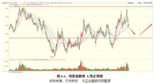 鸡蛋2020年走势展望：大供应VS缓需求 “火箭蛋”进入牛市尾声