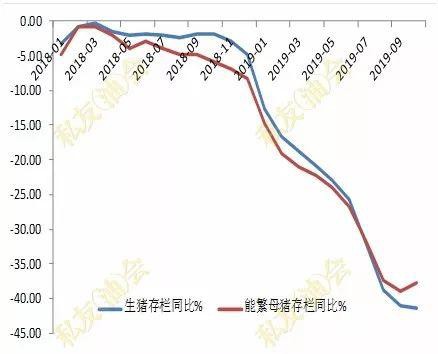 2020年生猪产能恢复缓慢 油强粕弱格局将维持