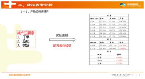 棕榈油维持看涨观点