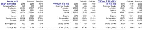 2020年1月USDA供需报告解读