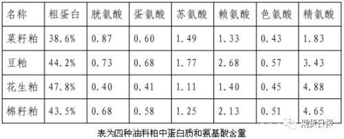 新年首个商品期权――菜籽粕期权今日上市！多个交易策略参考