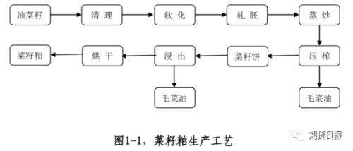 新年首个商品期权――菜籽粕期权今日上市！多个交易策略参考