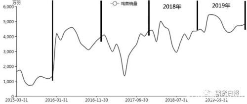 持续下跌后鸡蛋抄底声渐起 可以了吗？