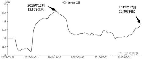 持续下跌后鸡蛋抄底声渐起 可以了吗？