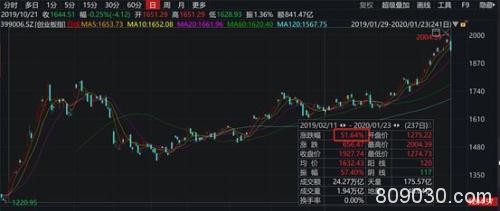 A股农历猪年收官！近300股翻倍、猪肉股暴涨