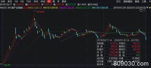 A股农历猪年收官！近300股翻倍、猪肉股暴涨