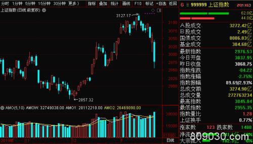 武汉多处高速入口封闭取消航班199架次！沪指跌破3000点北向资金流出百亿