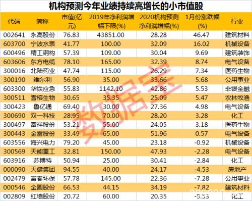 猪年收官日市值蒸发2万亿！53万股民押中这19只股 20天涨幅超40%！