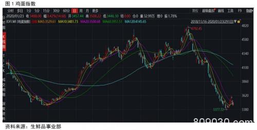 新型冠状病毒对蛋鸡行业的影响