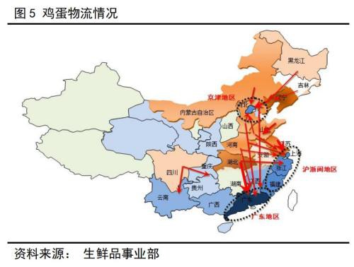 新型冠状病毒对蛋鸡行业的影响