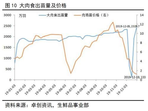 新型冠状病毒对蛋鸡行业的影响